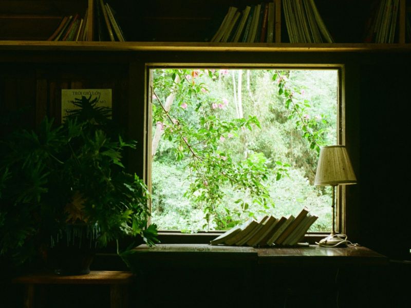 






  

De l’intérêt pour l’avocat d’une bibliothèque et d’un jardin
  


