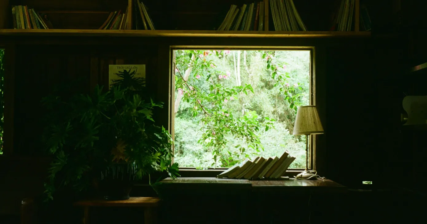Une pièce bordée de rayonnages de livres, fenêtre ouverte sur un feuillage dense.